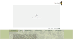 Desktop Screenshot of flameback.in
